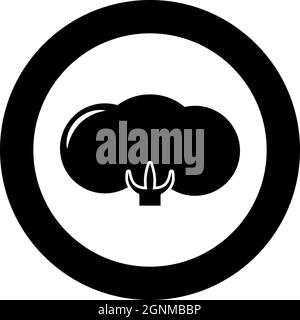 Baumwolle Blume Knospe Symbol im Kreis rund schwarz Farbe Vektor Illustration solide Kontur Stil einfaches Bild Stock Vektor