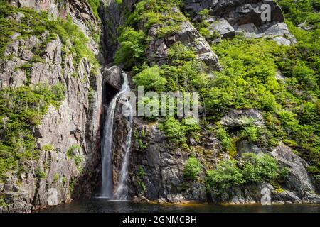 Großer Wasserfall in einem Wald - Gros Morne National Park - Western Brook Pond Stockfoto