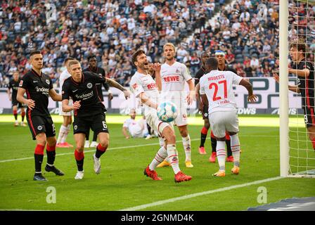 Jonas HECTOR (K) ist nach einer gegebenen Torchance von links nach rechts verärgert Rafael Santos BORRE (F), Kristijan JAKIC (F), Jonas HECTOR (K), Sebastian ANDERSSON (K), Anthony MODESTE (K), Fußball 1. Bundesliga, 06.Spieltag, Eintracht Frankfurt (F) - FC Köln (K) 1: 1, am 25. September 2021 in Frankfurt/Deutschland. #die DFL-Vorschriften verbieten die Verwendung von Fotos als Bildsequenzen und/oder quasi-Video # Â Stockfoto