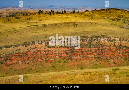 Die farbenfrohe rote Schlucht und die goldgrünen Hügel in der Landschaft des Bighorn River Stockfoto