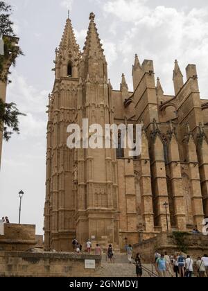 Kathedrale von Palma Stockfoto