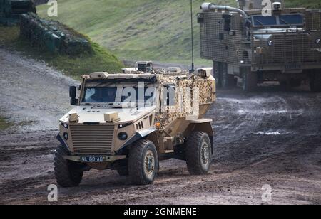 Foxhound British Army Protected Patrol Vehicle, Bovington Tank Museum, Dorset, England Stockfoto