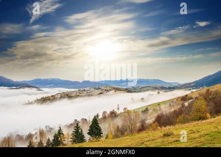 Farbenfrohe Wälder in den warmen Karpaten, bedeckt mit dichtem grauen Nebel Stockfoto
