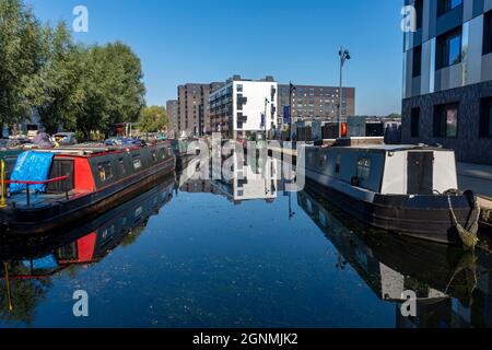 Narrowboats in Cotton Field Park Marina, mit dem Mansion House Apartmentblock in der Ferne, New Islington, Ancoats, Manchester, England, VEREINIGTES KÖNIGREICH Stockfoto