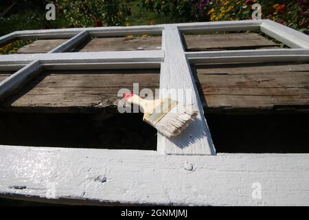 Malen eines hölzernen Fensterrahmens mit weißer Farbe. Der Pinsel befindet sich auf dem Rahmen. Stockfoto