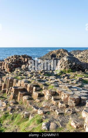 Basaltsäulen, The Giant's Causeway, Causeway Coast, in der Nähe von Bushmills, County Antrim, Nordirland, Vereinigtes Königreich Stockfoto