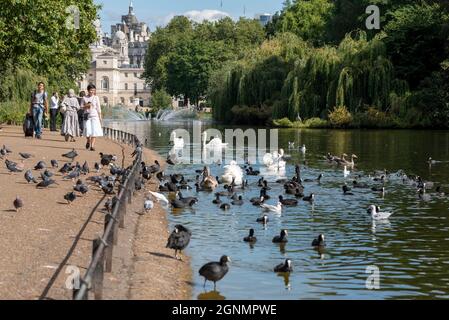 St James's Park in London, Großbritannien, mit See, Vögeln, Schwänen und Bäumen. Die Leute genießen einen sonnigen Septembertag Stockfoto