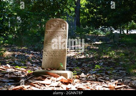 Verwitterte Grabsteine auf dem historischen afroamerikanischen Oberlin Cemetery, einem einst verlassenen Friedhof in Raleigh, NC. Stockfoto