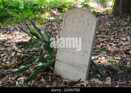 Verwitterte Grabsteine auf dem historischen afroamerikanischen Oberlin Cemetery, einem einst verlassenen Friedhof in Raleigh, NC. Stockfoto