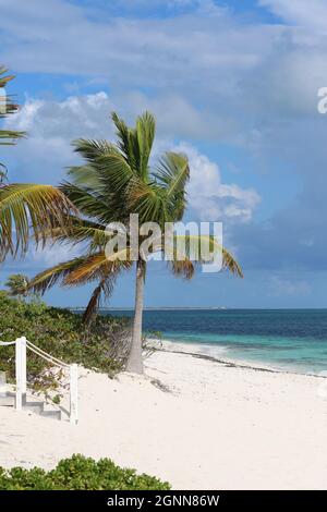 Turtle Cove Beach, Providenciales, Turks- und Caicos-Inseln Stockfoto