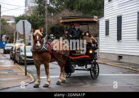 Charleston, SC - Jan 31 2021: Tour der Old South Carriage Company mit COVID-Sicherheitsmaßnahmen Stockfoto