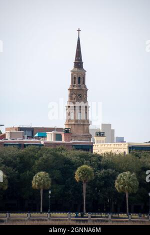 St. Philip's Church Kirchturm mit drei Palmetto-Bäumen Stockfoto