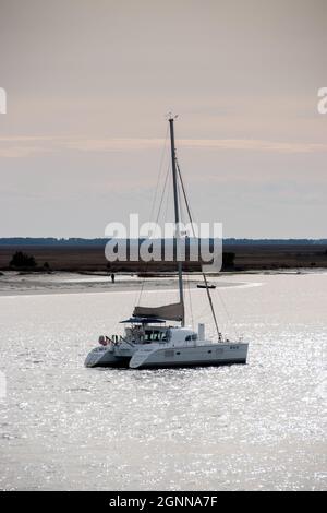 Charleston, SC - 24 2021. Februar: Ein Katamaran vor Anker im Hafen von Charleston Stockfoto