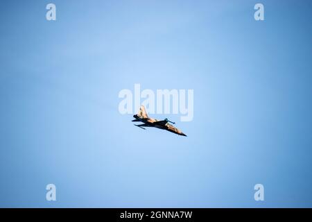 Charleston, SC - 24 2021. Februar: Ein einziger T-38-Talon mit Wüstenbemalung, der über dem Himmel fliegt Stockfoto