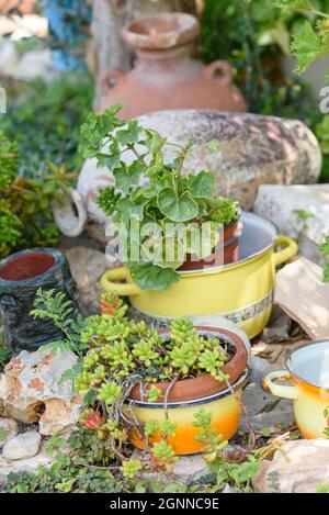 Wiederverwendete Pflanzideen. Alte Kochtöpfe, alte Vasen verwandeln sich in Blumentöpfe im Garten. Recyceltes Gartendesign, diy und ein Lifestyle mit geringem Abfall. Stockfoto