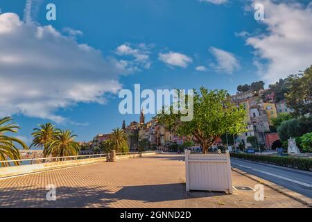 Menton Frankreich, Skyline der Stadt und Zitronenbaum die Signatur von Menton Stockfoto