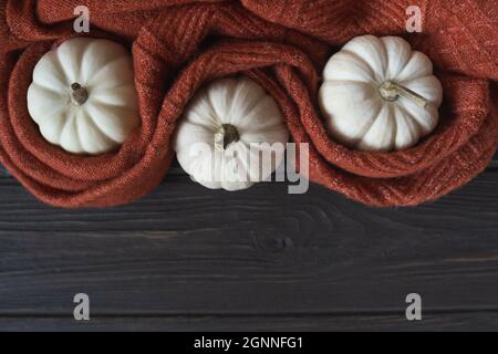 Herbstkomposition mit Wollgestrickdecke und weißem Kürbis Stockfoto
