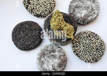 Cookies und Marihuana blühen isoliert auf weißem Hintergrund. Cannabis Blumen und Süßigkeiten. Hanf Erholung, Canna Küche, Zeitvertreib, Legalisierungskonzept. Stockfoto