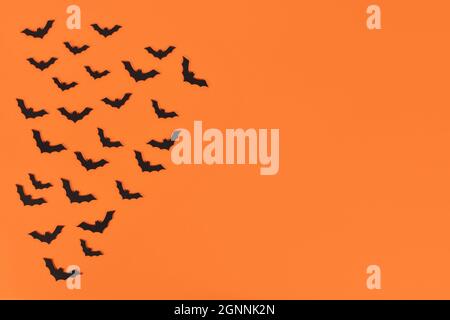 Saisonale Halloween Konfetti in Form von kleinen fliegenden schwarzen Fledermäusen in der Ecke von orangefarbenem Hintergrund mit leerem Kopieplatz Stockfoto