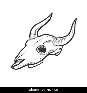 Handgezeichnete Kuh, Stier Schädel Element. Comic-Doodle-Skizze. Cowboy, westliche Konzeptikone. Isolierte Vektordarstellung. Stock Vektor
