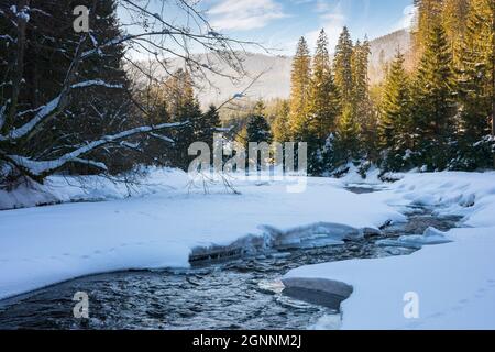Winterlandschaft mit Bergfluss. Nadelwald an einer schneebedeckten Küste. Wunderbare Naturlandschaft im Nachmittagslicht Stockfoto