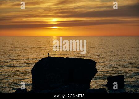 Die nördlichen Festungen sind ein Teil der Festung von Liepāja, bei Sonnenuntergang Stockfoto