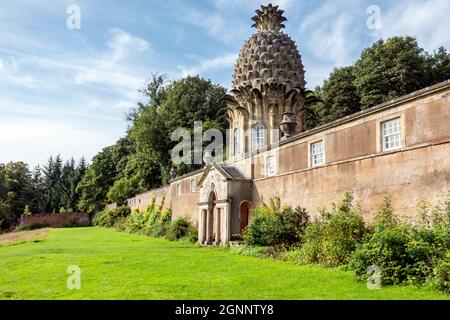 The Dunmore Pineapple Folly in Dunmore Park, bei Airth in der Nähe von Stirling in Stirlingshire, Schottland, im Besitz des Natiional Trust for Scotland Stockfoto