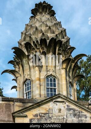 Detail der Dunmore Ananas-Torheit im Dunmore Park, bei Airth in der Nähe von Stirling in Stirlingshire, Schottland, im Besitz des Natiional Trust for Scotland Stockfoto