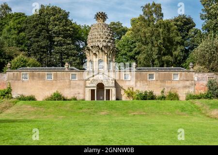 Ananas-Torheit im Dunmore Park, bei Airth in der Nähe von Stirling in Stirlingshire, Schottland, großbritannien, im Besitz des Natiional Trust for Scotland Stockfoto