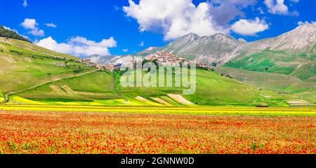 Malerische Landschaften von Italien - Castelluccio di Norcia Dorf, blühende Blumenwiesen. Umbrien Stockfoto