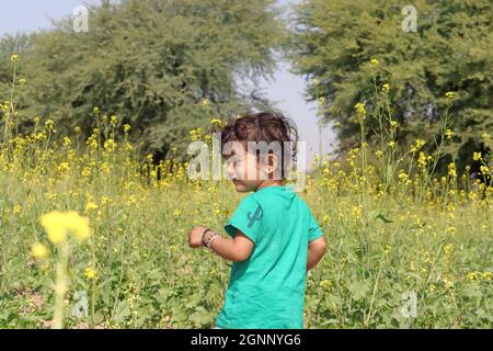 Ein indischer Junge, der in einem Senffeld spielt und ein grünes T-Shirt trägt.lachend, lächelnd und mit einem Lächeln auf dem Gesicht, das Feld im m Stockfoto