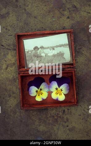 Kleine Holzkiste mit zwei Stiefmütterchen oder Viola tricolor und Sepia-Foto aus den 1920er Jahren von vier Frauen, die im Boot oder am Flussufer sitzen Stockfoto