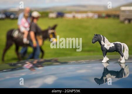 Pony Show bei Appleby Show, Appleby-in-Westmorland, Cumbria Stockfoto