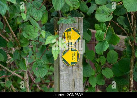 Öffentliche Fußwegschilder auf einer Runde mit gelbem Pfeil auf grünem Hintergrund, montiert auf einem Holzpfosten, der nach links und rechts zeigt. Stockfoto