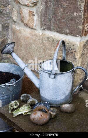 Alten altmodischen Gießkanne auf Küche Schritt mit Kieselsteinen, Fossilien und Tierschädel, UK Stockfoto
