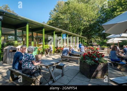 Menschen, die an einem sonnigen Tag vor den Captain's Cabin Tea Rooms sitzen, einem Café in Bucklers hartem Dorf im New Forest, Hampshire, Großbritannien Stockfoto