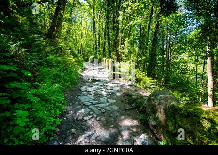 Fußweg zur Hautpoul-Fußgängerbrücke in der Nähe der Stadt Mazamet in Frankreich Stockfoto