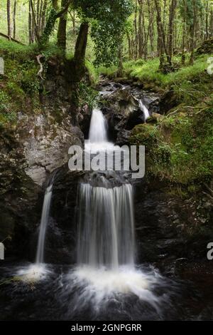 Wasserfall, Holz von Cree RSPB reserve, Galloway, Scotland, UK Stockfoto