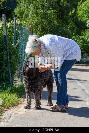 Europa, Luxemburg, Septfontaines, ältere Frau, die mit ihrem portugiesischen Wasserhund unterwegs ist Stockfoto