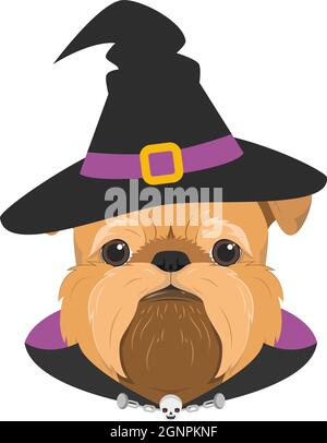 Halloween Grußkarte. Brüsseler Griffon-Hund, gekleidet als Hexe, mit schwarzem Hut, violettem und schwarzem Umhang und einer kleinen Kette mit Totenkopf Stock Vektor