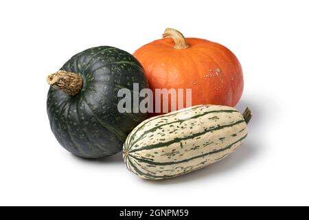 Verschiedene Kürbisse im Herbst auf weißem Hintergrund Stockfoto