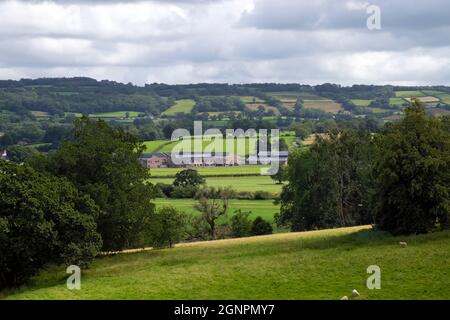 Ein vertikaler Blick auf Dinefwr Deer Park Trees und Newton House im Herbst von Dinefwr Castle in der Nähe von Llandeilo Carmarthenshire Wales UK KATHY DEWITT Stockfoto