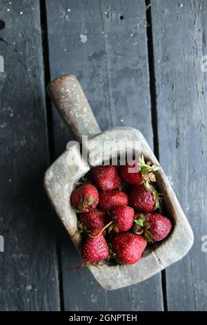 Frische, saftige Erdbeeren in einem alten Holzbehälter. Stockfoto