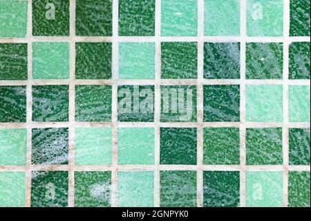 Schimmel an den Fugen zwischen der Keramikfliesen im Bad mit einem chemischen Reinigungsschaum. Reinigung eines schwarzen Schimmelpilz Schmutz auf den Nähten der Mosaikfliesen. Schmutzige Mo Stockfoto