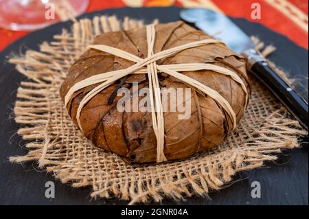 Geschmack der Provence, alte kleine Ziegenkäse Banon a la feuille in Kastanienblätter gewickelt und gebunden mit Bast, Frankreich Stockfoto