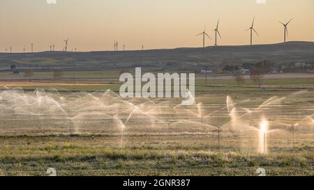 Bewässerungssprinkler, die Ackerland bei Sonnenuntergang in Huesca, Spanien, wässern. Stockfoto