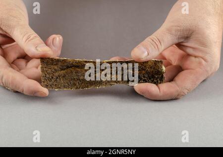 Rinderkutteln. Zwei Hände zeigen Hundefreuden. Stockfoto