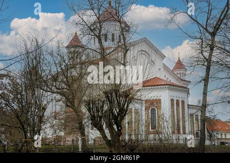 VILNIUS, LITAUEN - 2020. MÄRZ 06.eines der ältesten christlichen Heiligtümer der Stadt - die Kathedrale der Gottesmutter. Stockfoto