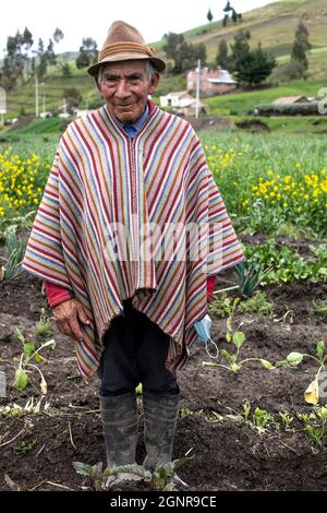 Indigener Bauer in San Martin Bajo, Ecuador Stockfoto