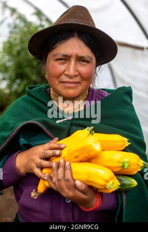 Indigene Bäuerin in ihrem Gewächshaus in San Martin Bajo, Ecuador Stockfoto